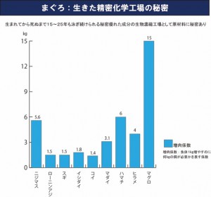 マグロ増肉係数