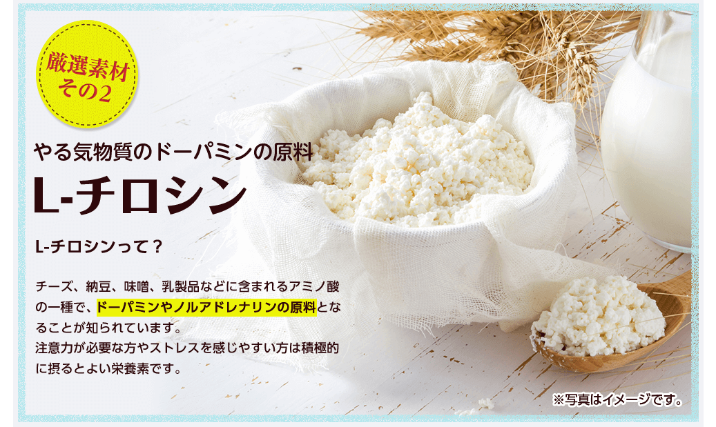 厳選素材その2 やる気物質のドーパミンの原料L-チロシン/L-チロシンって？チーズ、納豆、味噌、乳製品などに含まれるアミノ酸の一種で、ドーパミンやノルアドレナリンの原料となることが知られています。注意力が必要な方やストレスを感じやすい方は積極的に摂るとよい栄養素です。