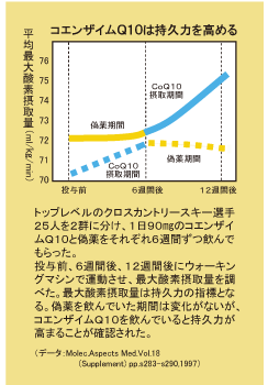 スポーツ時のエネルギー産生に