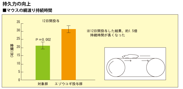 エゾウコギがスポーツ選手に及ぼす作用