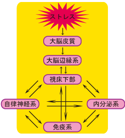 ストレスへの抵抗力を高める